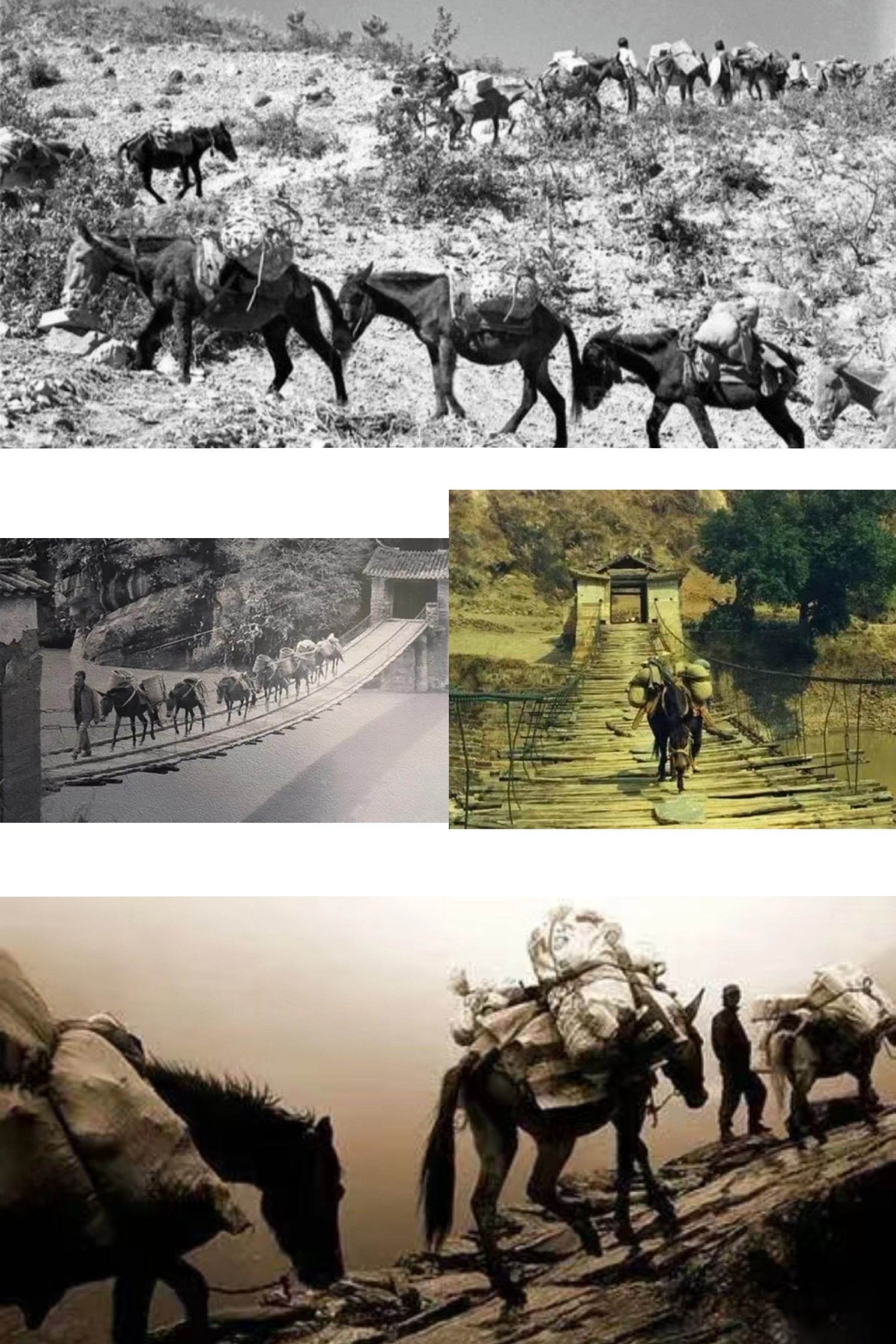 1767498849198342.jpg 1767498849198342.jpg